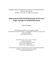 Bedeutung des PI3K/mTOR Signalweges als Ziel einer