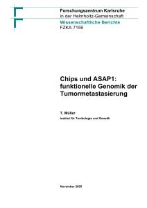 Chips und ASAP1: funktionelle Genomik der