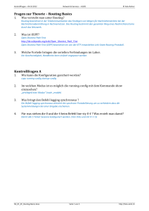 Fragen zur Theorie – Routing Basics Kontrollfragen A
