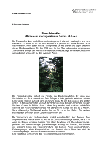 Fachinformation Riesenbärenklau (Heracleum mantegazzianum