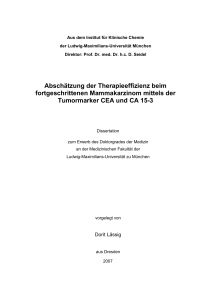 Abschaetzung der Therapieeffizienz beim fortgeschrittenen