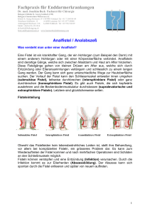 Information Analfistel