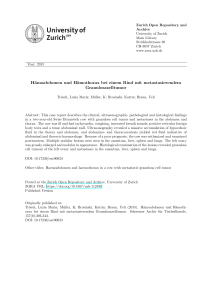 Hämoabdomen und Hämothorax bei einem Rind mit