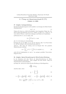 11.¨Ubung zur Quantenmechanik II (T5)