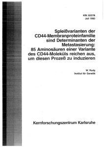 CD44 - KIT