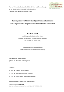 Tumorigenese des Nichtkleinzelligen Bronchialkarzinoms