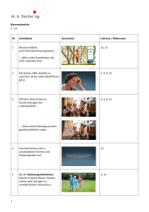 Story Board Alkoholprobleme