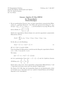 Lineare Algebra II Mm/BWM 10. Hausaufgabe Musterlösungen