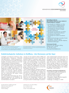 Endokrinologische Ambulanz in Stollberg – den Hormonen auf der