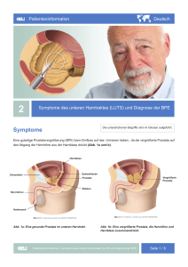 Symptome - EAU Patient Information