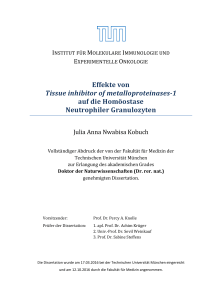 Effekte von TIMP-1 auf die Homöostase Neutrophiler Granulozyten