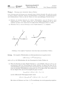 Quantenmechanik II Musterlösung 10.