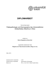 DIPLOMARBEIT