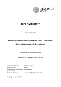 diplomarbeit - E-Theses