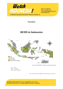 REDD in Indonesien