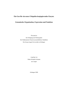 Ein Gen für ein neues Ubiquitin-konjugierendes Enzym