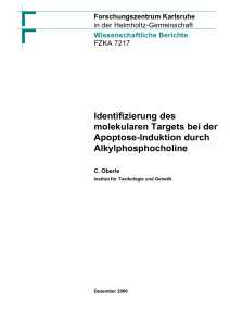 Identifizierung des molekularen Targets bei der Apoptose