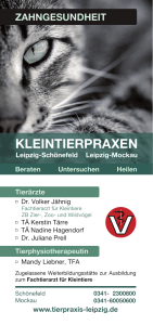 KTP Flyer Web - Kleintierpraxis Leipzig Schönefeld / Mockau