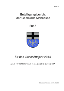 Beteiligungsbericht der Gemeinde Möhnesee 2015 für das