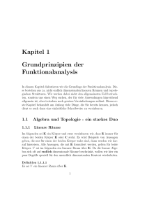 Kapitel 1 Grundprinzipien der Funktionalanalysis