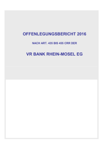 OFFENLEGUNGSBERICHT 2016 VR BANK RHEIN
