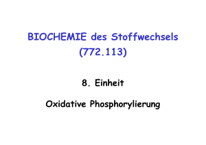 BIOCHEMIE des Stoffwechsels (772.113)