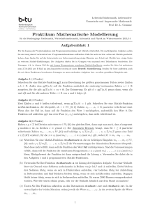 Praktikum Mathematische Modellierung