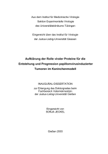 Aufklärung der Rolle viraler Proteine für die Entstehung und