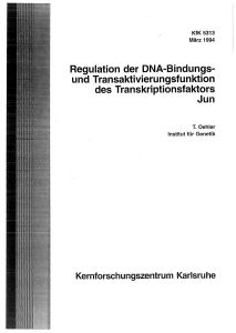 Regulation der DNA-Bindungs- und Transaktivierungsfunktion