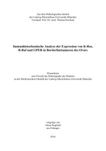 Immunhistochemische Analyse der Expression von K-Ras, B