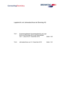 Lagebericht und Jahresabschluss der Brenntag AG