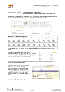 Expertenrunde Gruppe 1 - 4, Beschreibende Statistik, 8. Schulstufe