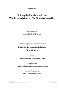 Sphingolipide als autokrine Wachstumsfaktoren für Glioblastomzellen