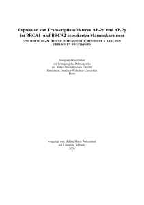 Expression von Transkriptionsfaktoren AP-2a und AP