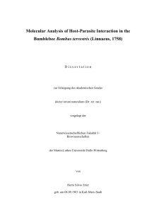 Dissertation-SE