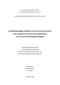 Endothelabhängige Dilatation von - nbn