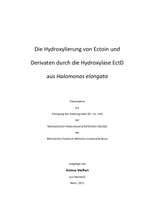 Die Hydroxylierung von Ectoin und Derivaten durch die