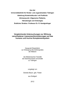 Dissertation Daniela Bauer