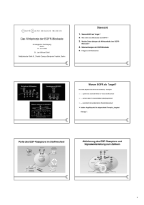 Das Wirkprinzip der EGFR