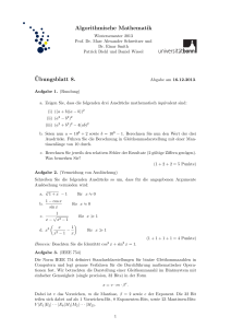 Algorithmische Mathematik ¨Ubungsblatt 8.