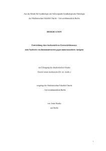 Jonas Stanke Dissertation - diss.fu