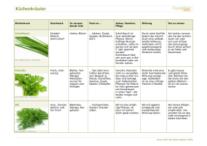 Küchenkräuter