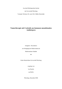 Tumortherapie mit Cocktails aus humanen monoklonalen Antikörpern