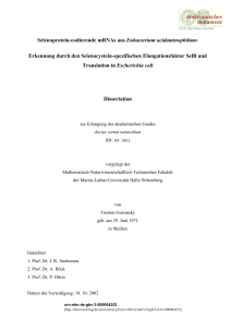 PDF-Format - Martin-Luther-Universität Halle
