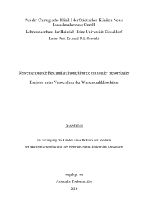 Dissertation - Touloumtzidis2014-pdfa