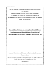 Synergistische Wirkung des Farnesyltransferaseinhibitors