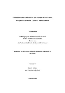 Kinetische und funktionelle Studien am molekularen Chaperon ClpB