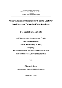 Akkumulation infiltrierender 6-sulfo LacNAc+ dendritischer Zellen im