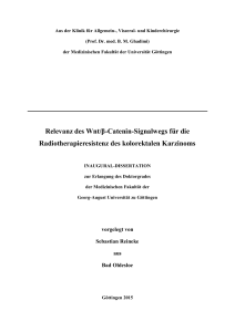 Relevanz des Wnt/β-Catenin-Signalwegs für die