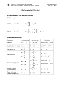 Mathematische Hilfsmittel - Institut für Technische und Numerische